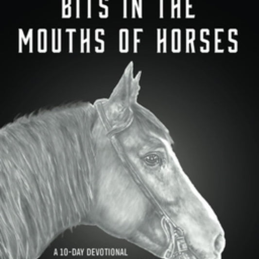 Bits In The Mouths of Horses