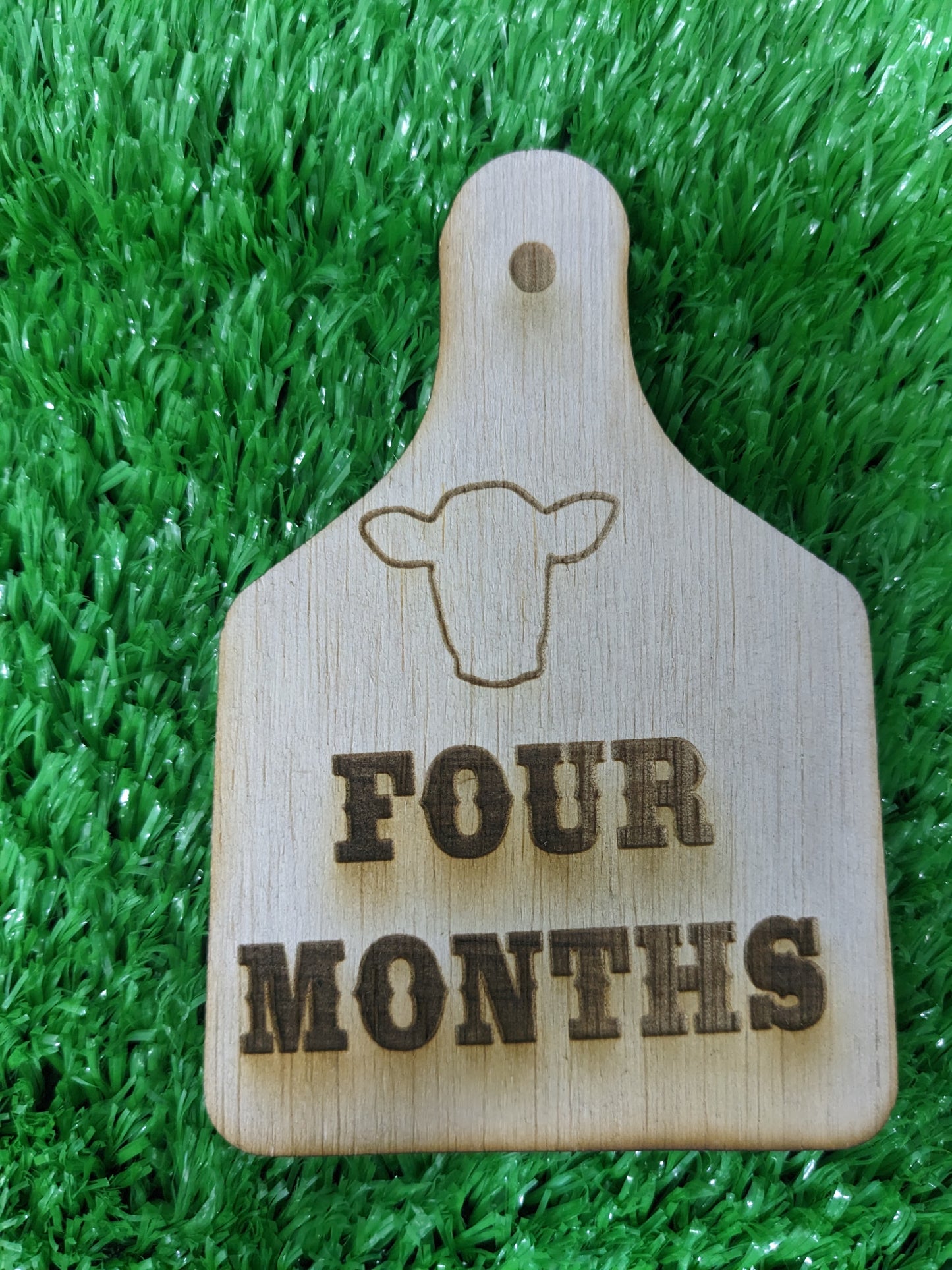 WESTERN BABY MILESTONE MARKERS SET OF 12