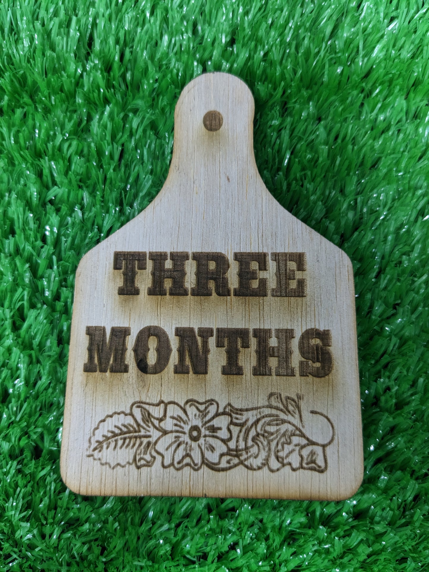 WESTERN BABY MILESTONE MARKERS SET OF 12