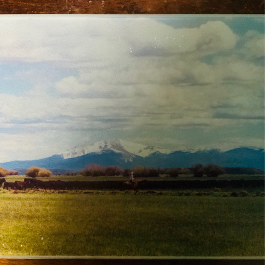 ERIN SEELY PHOTOGRAPHY GLASS CUTTING BOARD PASTURE