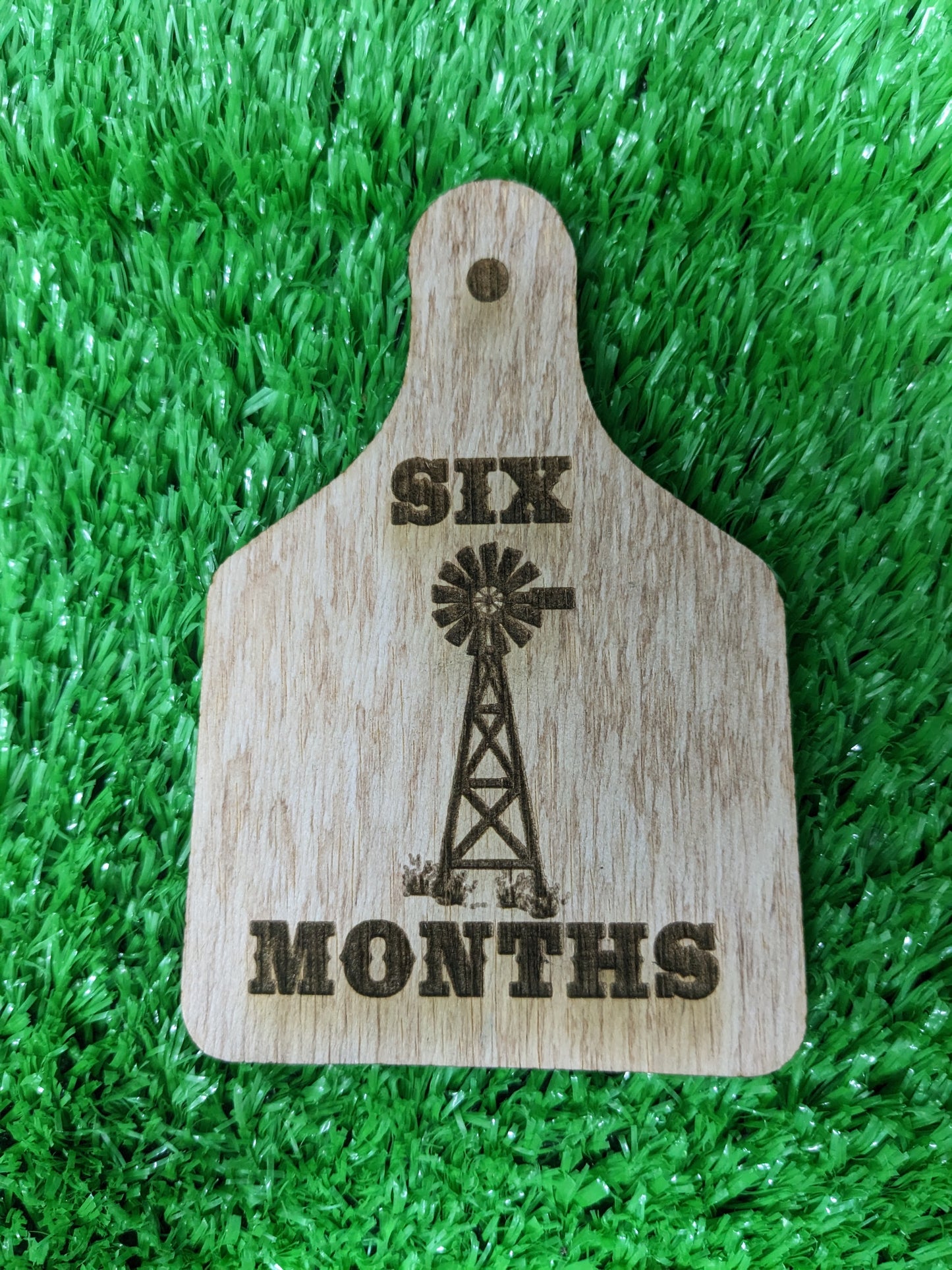 WESTERN BABY MILESTONE MARKERS SET OF 12