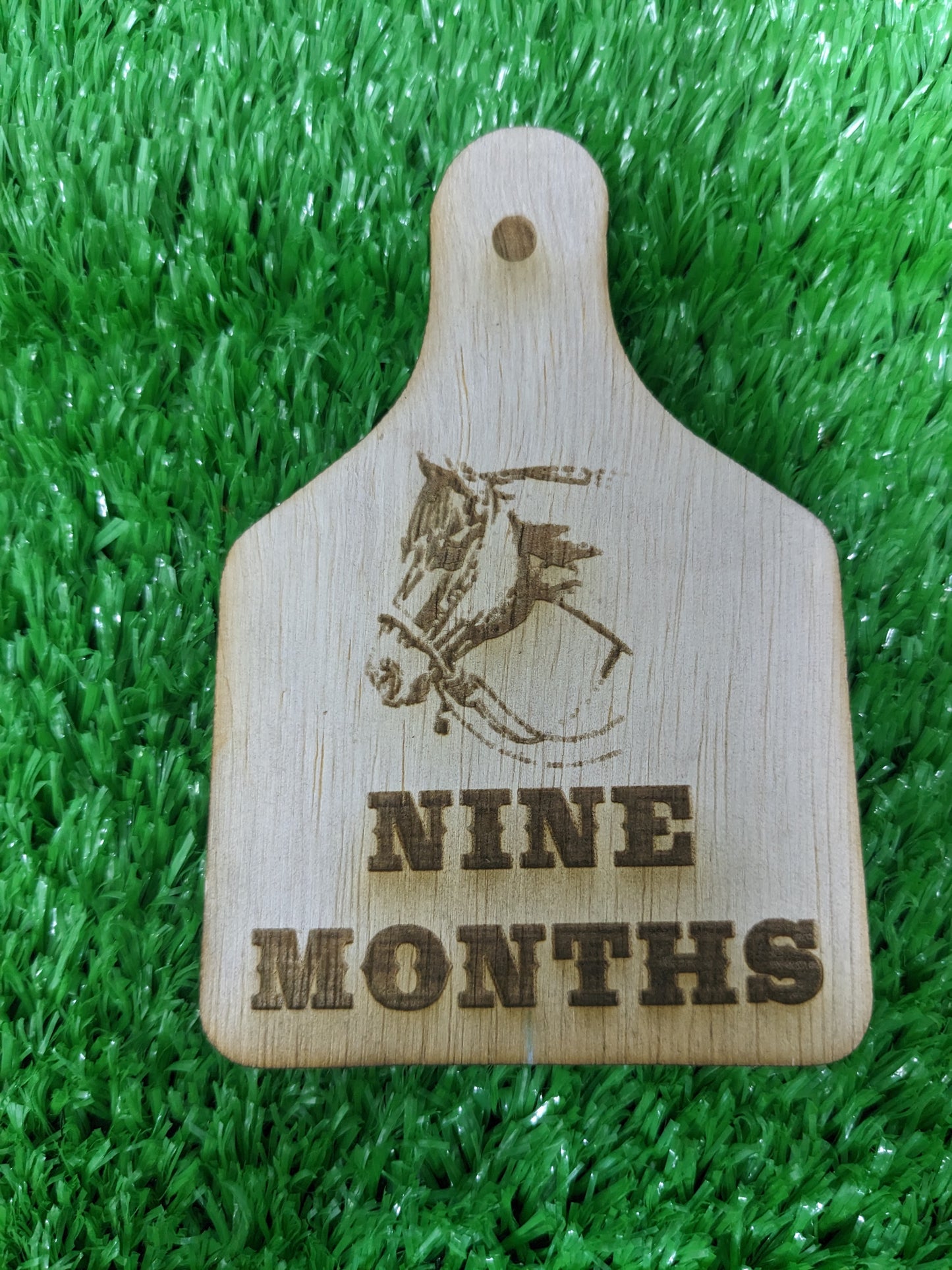 WESTERN BABY MILESTONE MARKERS SET OF 12