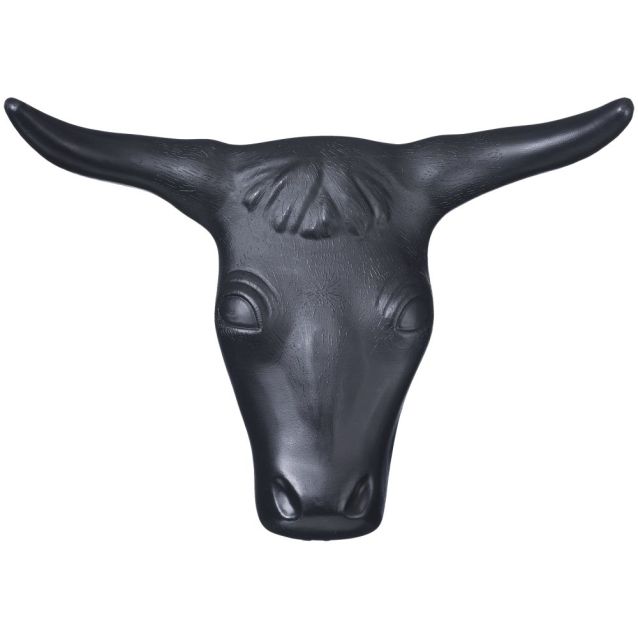 Practice Steerhead