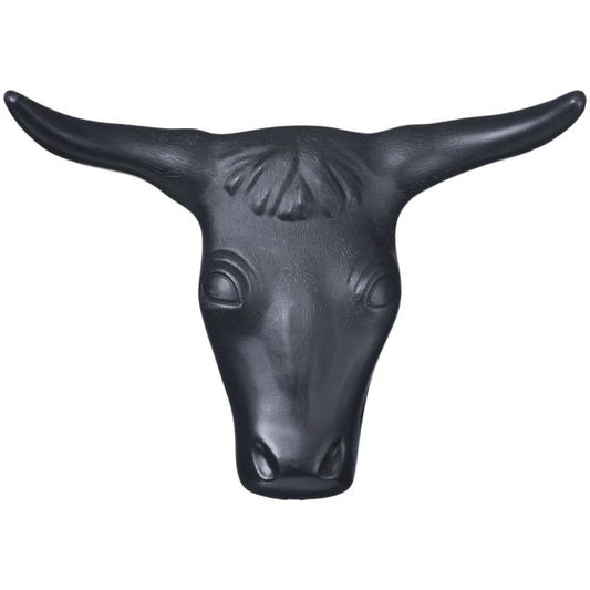 Practice Steerhead