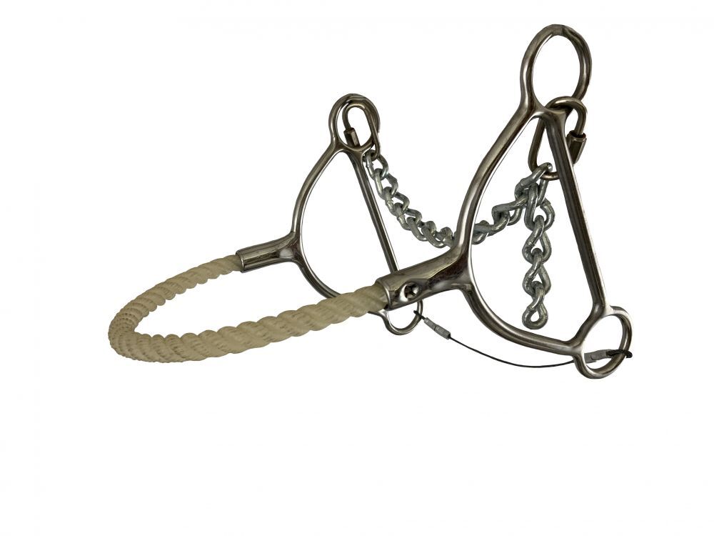 REINSMAN ROPE NOSE BEETLE HACKAMORE