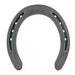Lucky Horseshoe & 2 Genuine Nails for Hanging