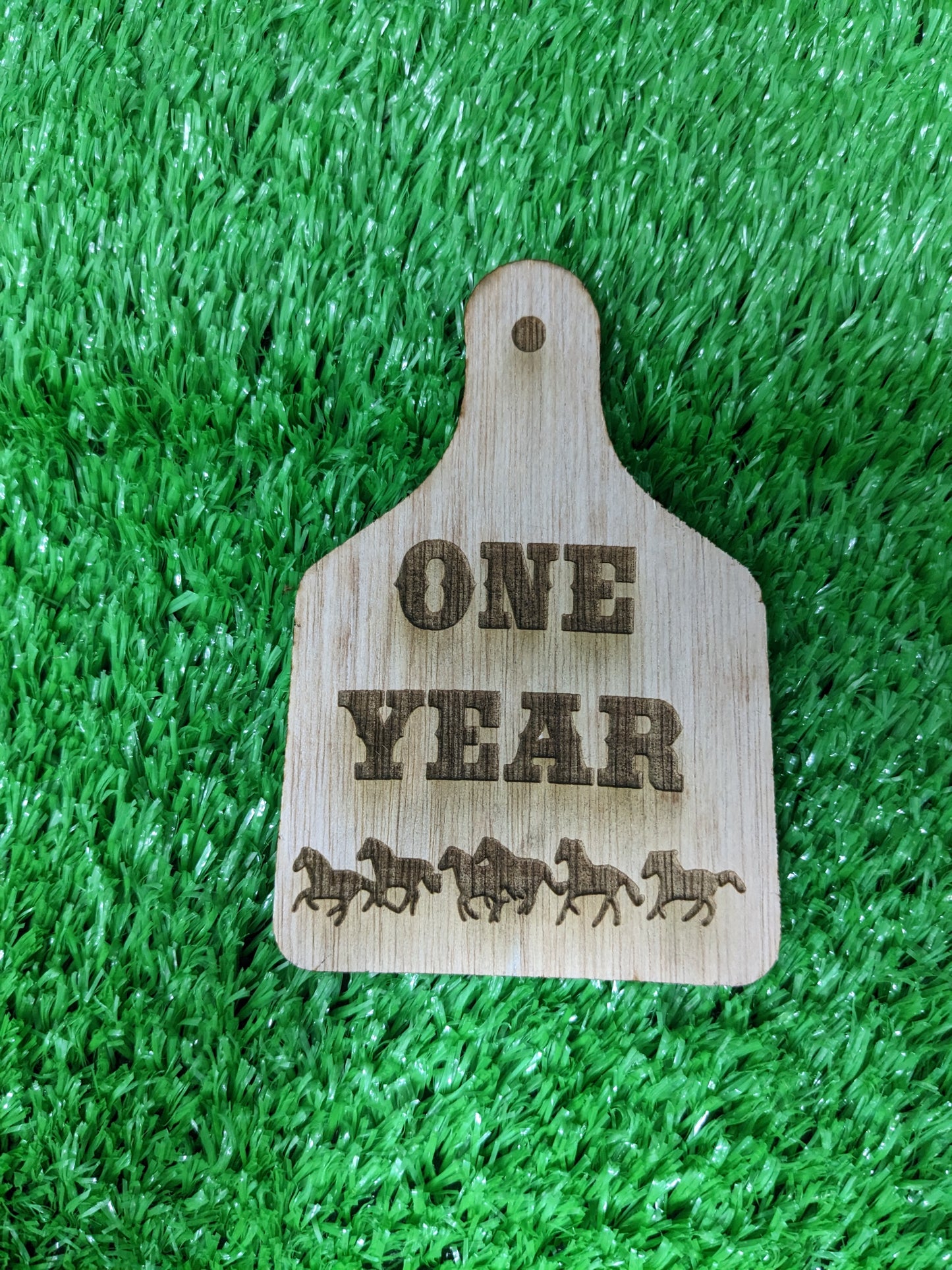 WESTERN BABY MILESTONE MARKERS SET OF 12