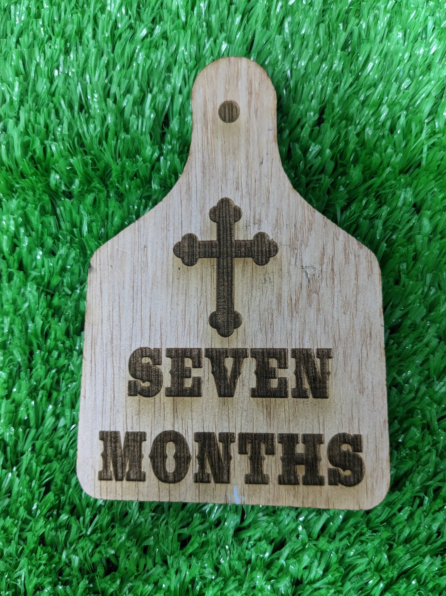 WESTERN BABY MILESTONE MARKERS SET OF 12