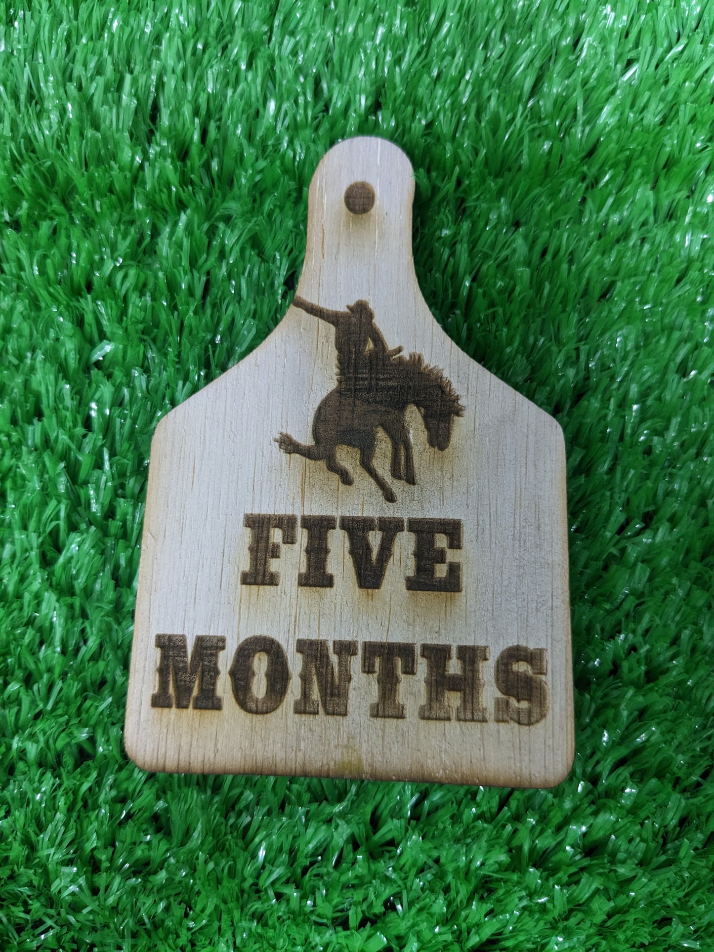WESTERN BABY MILESTONE MARKERS SET OF 12