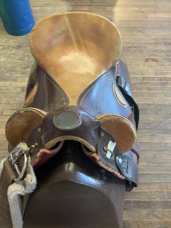 18 1/2 IN COLORADO SADDLERY AUSTRALIAN CT3678-1